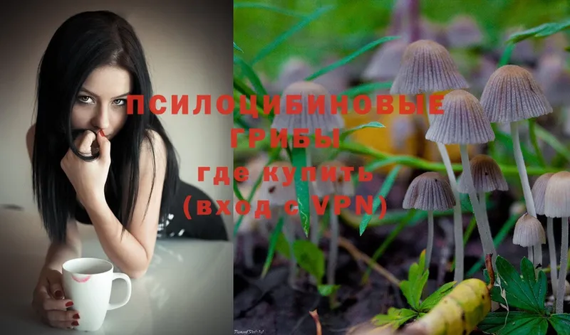 Псилоцибиновые грибы Magic Shrooms  Шуя 