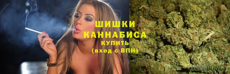 Бошки Шишки White Widow  где продают наркотики  Шуя 